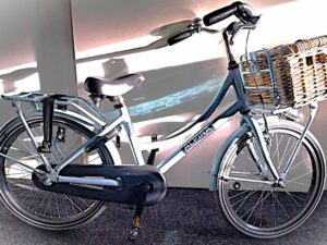 Alpina Cargo M20 Dream Blue Matt